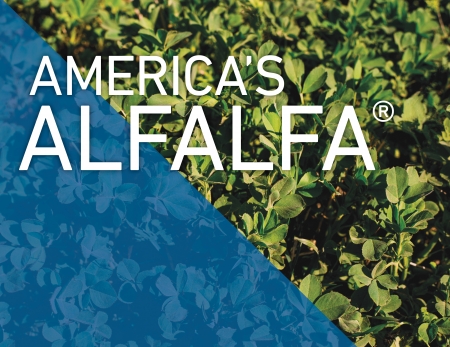 Cover Photo for Alfalfa Information Guide