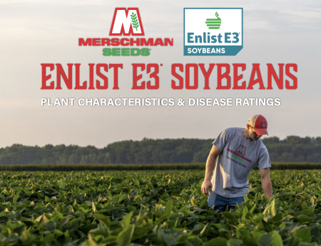 Cover Photo for Soybean Characteristics Chart